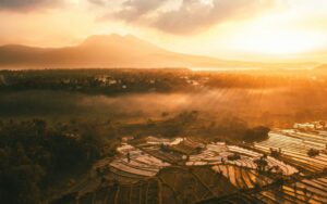 Leia mais sobre o artigo Bali Uncovered: A Journey Beyond the Beaches